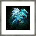 Sea Jellyfish Framed Print