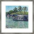 Sea - Rocks - Coconuts Framed Print