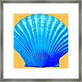 Sea Shell Blue And Gold Framed Print