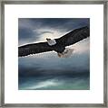 Sea To Sky - Eagle Art Framed Print