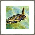 Sea Turtle 2 Framed Print