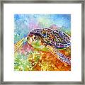 Sea Turtle 3 Framed Print