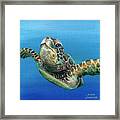 Sea Turtle 3 Of 3 Framed Print
