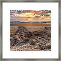 Sea Turtle Trails Framed Print