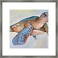 Sea Turtle- Twilight Swim Framed Print