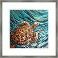 Sea Turtle Wave Guam Framed Print