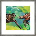 Sea Turtles And Dolphins Framed Print