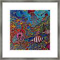 Sea World Framed Print