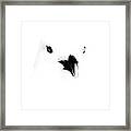 Seagull Art Framed Print