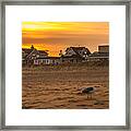 Seagull At Sunset Framed Print
