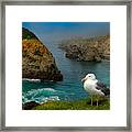 Seagull Coast Framed Print