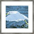 Seagull Departure Framed Print