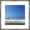 Seagulls And Wave Framed Print