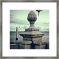 Seagulls In Columns Dock Framed Print