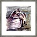Siamese Cat 2 Framed Print