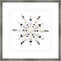 Seashell Snowflake 3 Framed Print