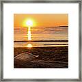Seashell Sunrise Framed Print