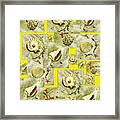 Seashells On Lemon Yellow Framed Print