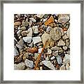 Seashore Pebbles Framed Print