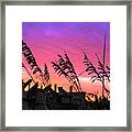 Seasons End Ii Framed Print