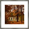 Secluded In The Trees Framed Print