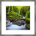 Seclusion Framed Print