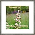 Seed Production Framed Print