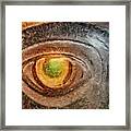 Seeing Is Believing Framed Print