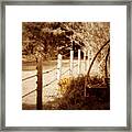 Sepia Garden Framed Print