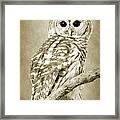 Sepia Owl Framed Print