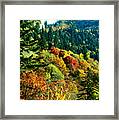 September Mountainside Framed Print