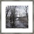Serene Swampy River Framed Print