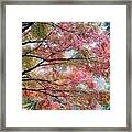 Autumn Hues Framed Print