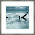 Serenity Framed Print