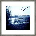 Series Wood And Water 3 Framed Print