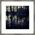 Series Wood And Water 4 Framed Print
