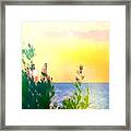 Pastel Colors On The Atlantic Ocean In Cancun Framed Print