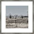 Seven Trees And A Train Framed Print