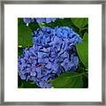 Shades Of Blue Framed Print