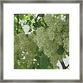 Shadow And Light Canvas Framed Print