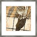 Shadow Cat Framed Print