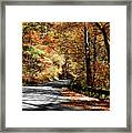 Shadows On The Road Framed Print