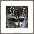 Shaken Not Stirred Framed Print