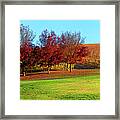 Shaw And Smith Winery Framed Print