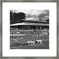 Sheep Barn B/w Framed Print