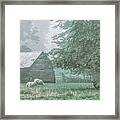 Sheep. Jericho, Vermont Framed Print