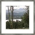 Sheep Near Lough Eske Framed Print