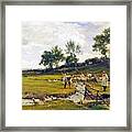 Sheep Washing In Sussex Framed Print