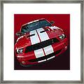 Shelby Attitude Framed Print