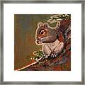 Shelley The Pet Squirrel Framed Print